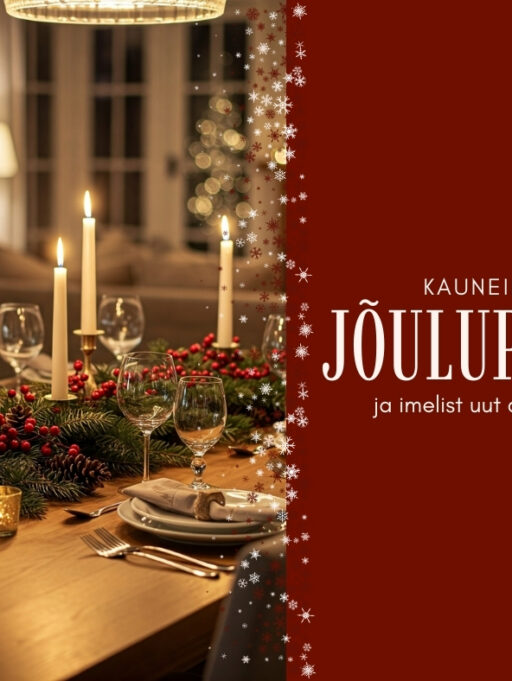 Pühadeaegne tarneinfo