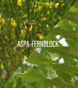 HELIOCARE 360° AGE ACTIVE FLUID SPF50+, 50 ML