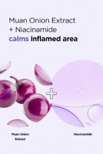 ISNTREE Onion Newpair Spot Patch Skin Fit